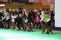 Crufts2010 1324